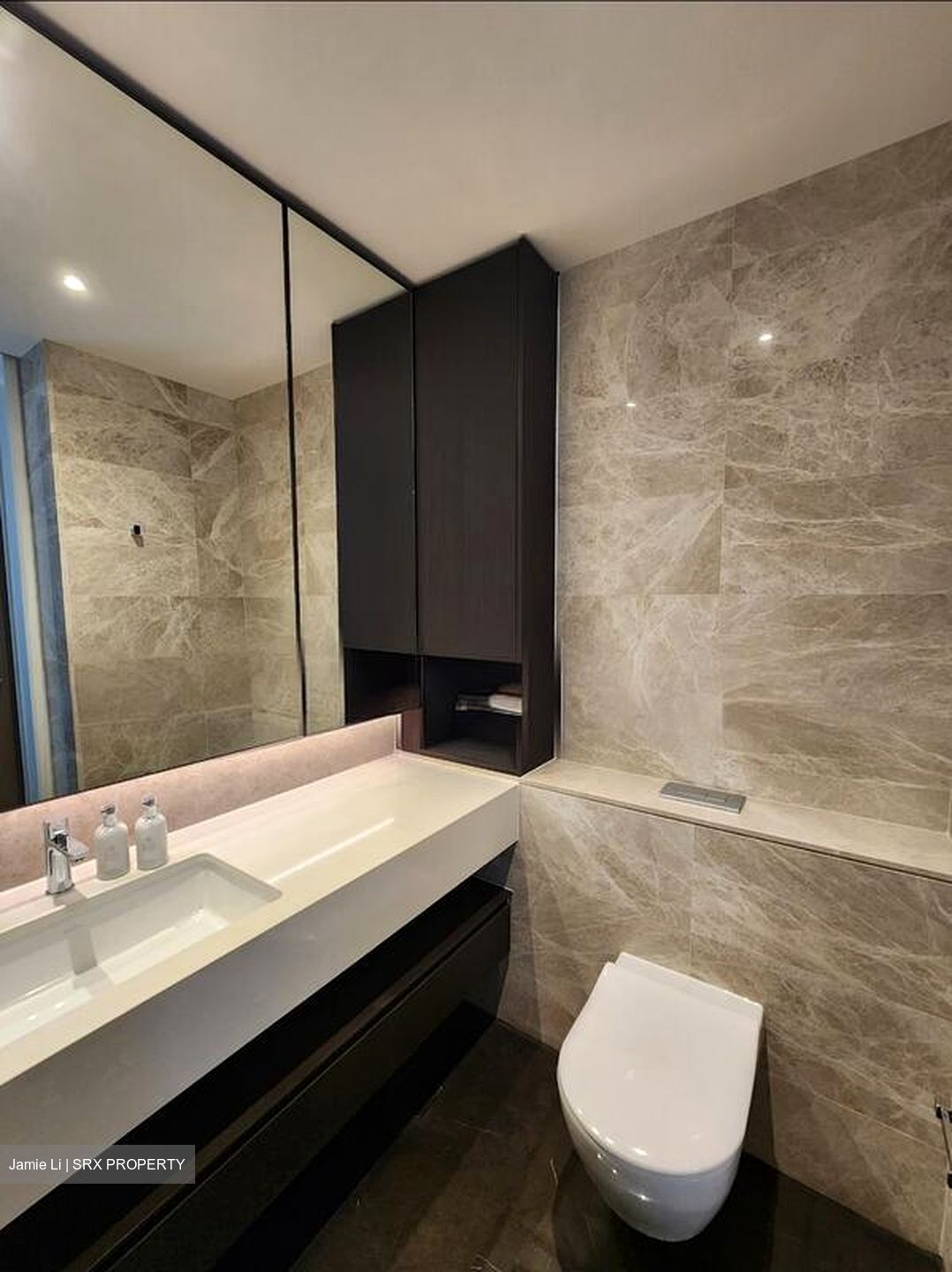 Amber Park (D15), Condominium #517516431
